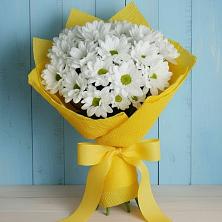 Букет Застенчивые лепестки в Белоомуте Букет цветов из: Хризантемы в Белоомуте