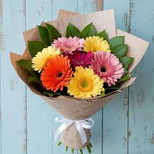 Букет цветов из:  Герберы #REPLACE_PRED# Белоомуте