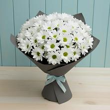 Букет белые хризантемы в Белоомуте Букет цветов из:  Хризантемы в Белоомуте
