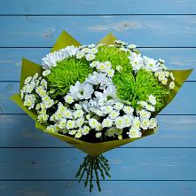 Букет скромность  в Белоомуте Букет цветов из:  Хризантемы в Белоомуте