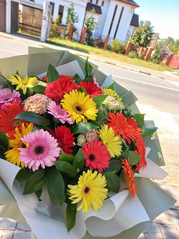 Букет цветов из: Герберы в Белоомуте